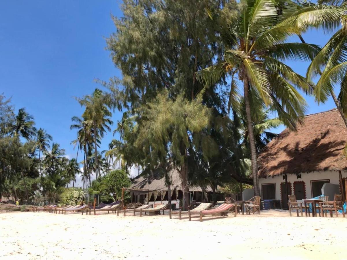 Simba Beach Zanzibar Kiwengwa  Bagian luar foto